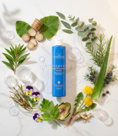 Sampon purificator pentru scalp cu matreata 250ml Maternatura- calmeaza scalpul, reduce matreata, regleaza sebumul, pentru toate tipurile de scalp, eco bio organic cu extract de brusture, piroctone olamine, tea tree si eucalipt